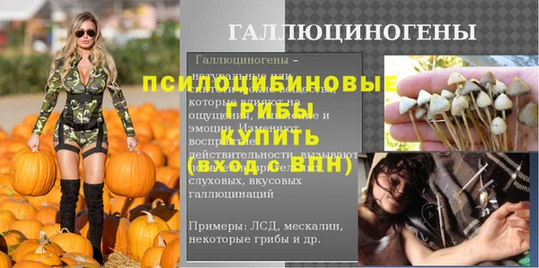 спиды Кулебаки