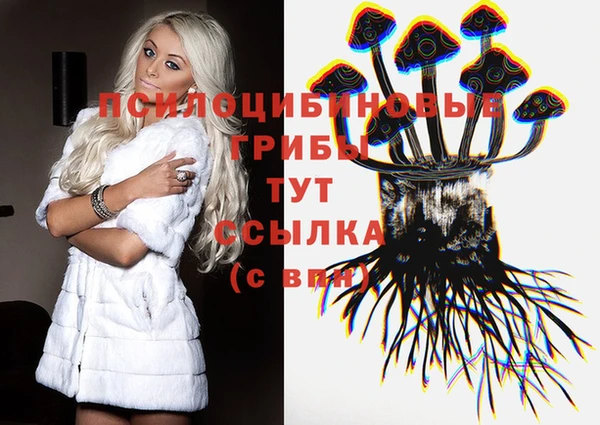 спиды Кулебаки