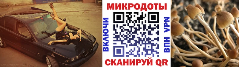 Галлюциногенные грибы ЛСД  где найти наркотики  KRAKEN ссылка  Черепаново 